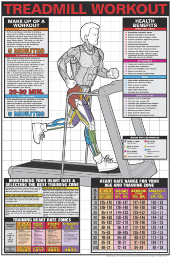 Fitness Wall Charts