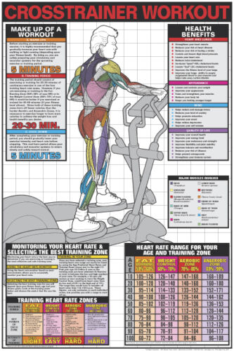 Trx Wall Chart