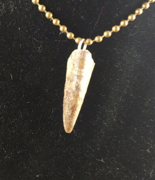 Alligator jewelry necklace 1" to 2"  nails real gator toe necklace weird