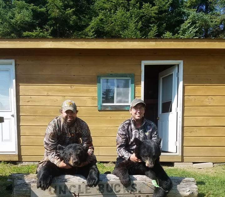 Black Bear Hunt 6 Day Maine Guided Hunt