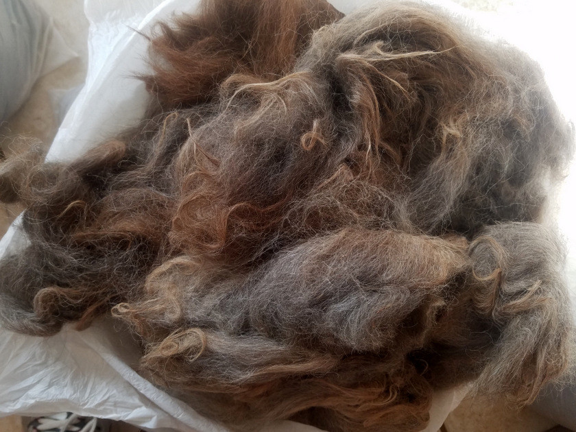 Raw Llama LAMA Wool Fiber Fleece Gray Tan 1.0 lbs