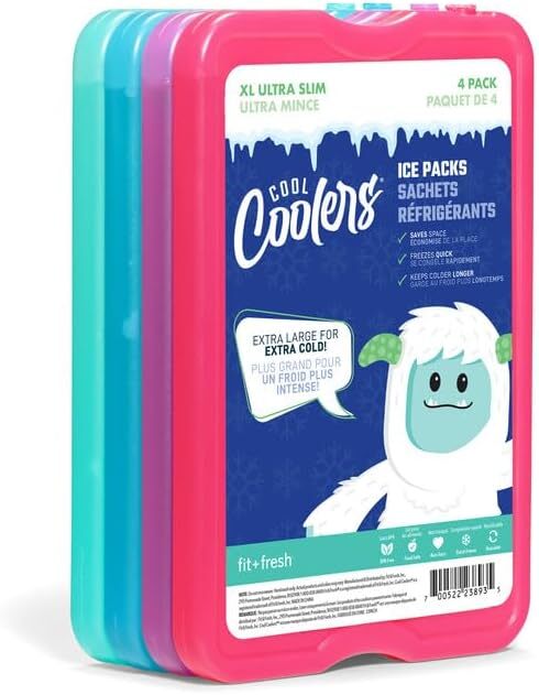 S Cooler Bag For Work School Picnic Reusable Freezer