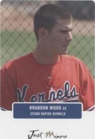 2004 Just Minors Just Prospects - Brandon Wood #88