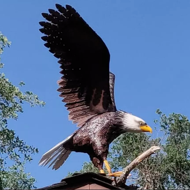 41-in American Bald Eagle Large Outdoor Metal Statue Lawn Sculpture Garden Yard