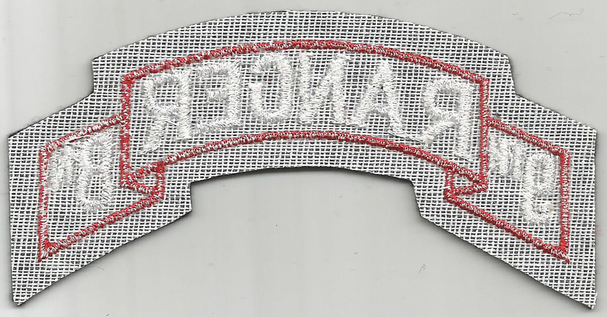 US Army 9th Ranger BN Scroll Patch