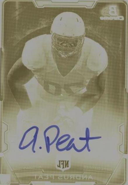 2015 Bowman Andrus Peat #RCRA-AP