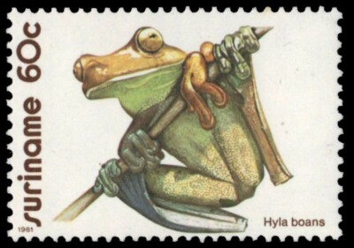 SURINAME 576 (Mi950) - Giant Tree Frog ''Hyla boans'' (pa83943)