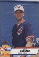 1993 Fleer ProCards Minor League - Scott Morgan #2245