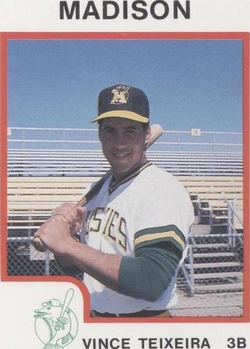 1987 ProCards Minor League - Vince Teixeira #492