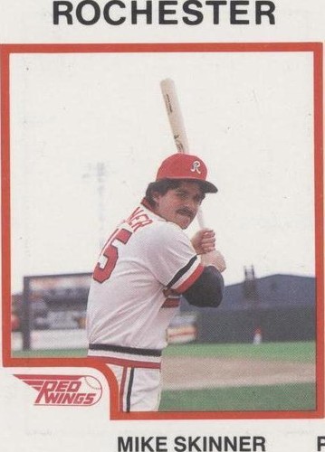 1987 ProCards Minor League - Mike Skinner #1905