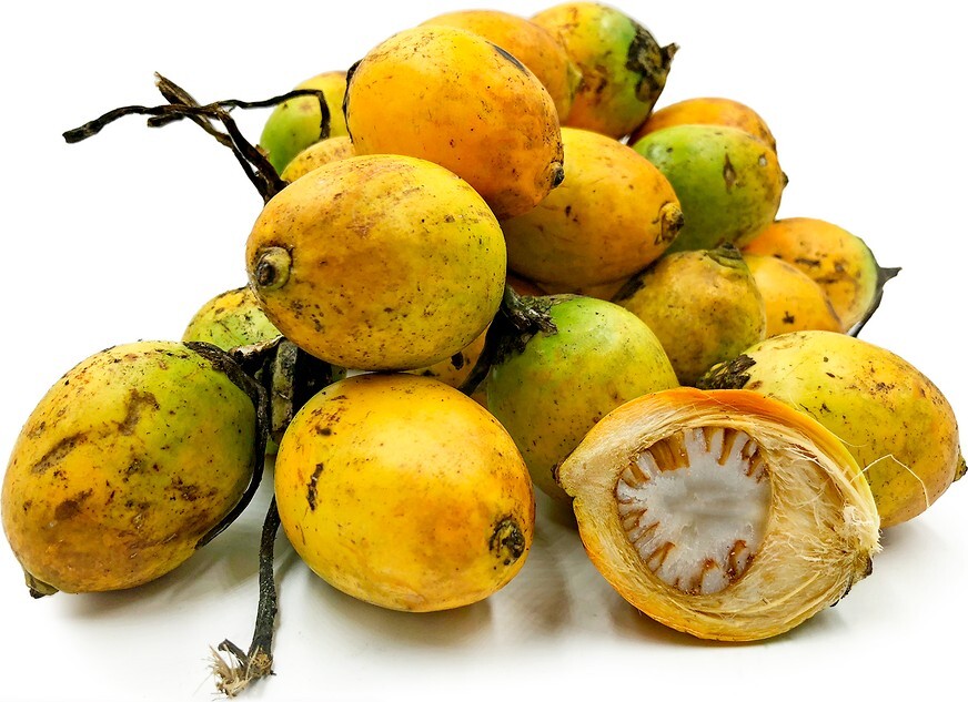 ビートルナッツ台　New Guinea betel nut mortar ビートルナッツ台 New Guinea めり込ん betel nut mortar