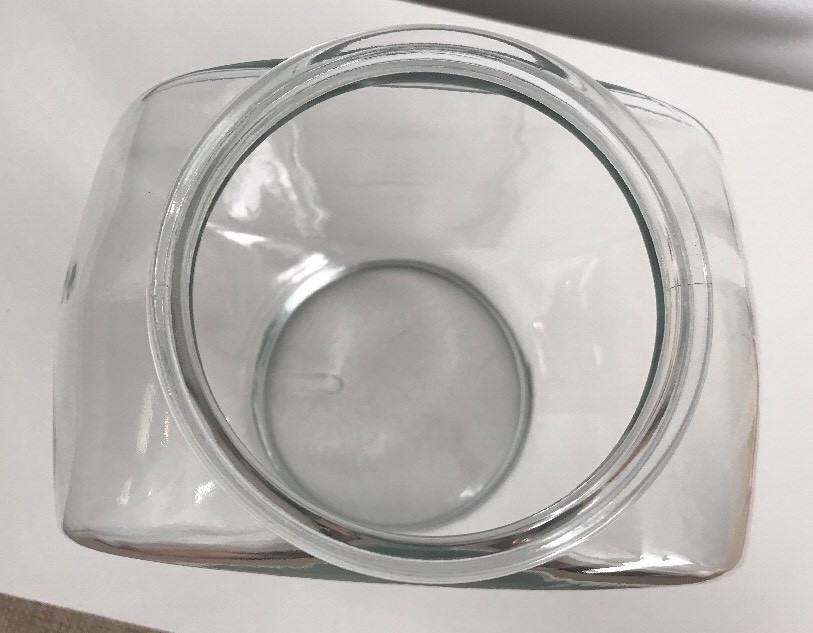 Fish Bowl Glass Canteen Style Goldfish Betta Approx Half Gallon Size 7” high