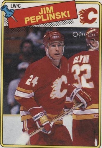 1988-89 O-Pee-Chee - Jim Peplinski #243