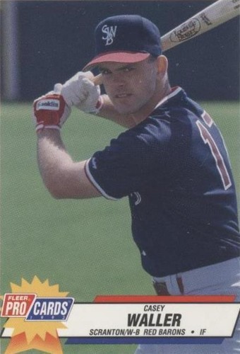 1993 Fleer ProCards Minor League - Casey Waller #2553