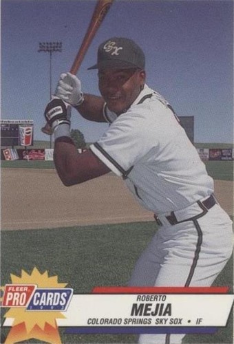 1993 Fleer ProCards Minor League - Roberto Mejia #3096