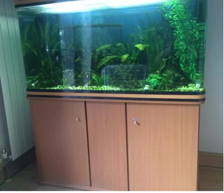 Boyu 300l fish tank with accessories in Doncaster, South Yorkshire