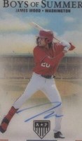 2023 Panini Chronicles - James Wood #BOS-JW