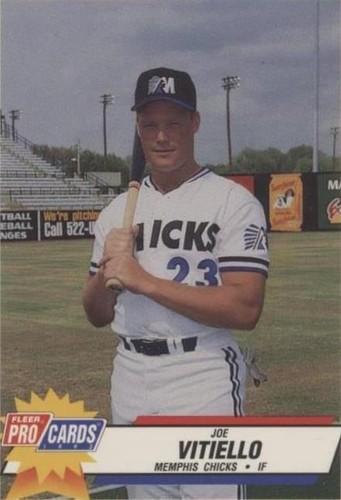 1993 Fleer ProCards Minor League - Joe Vitiello #384