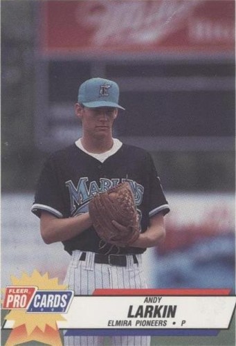 1993 Fleer ProCards Minor League - Andy Larkin #3818