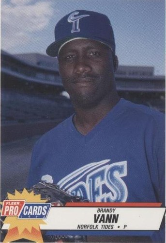 1993 Fleer ProCards Minor League - Brandy Vann #2570