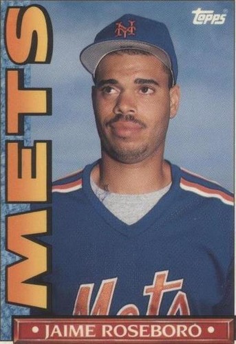 1990 Topps TV Team Sets - Jaime Roseboro #56