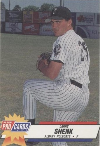 1993 Fleer ProCards Minor League - Larry Shenk #2026