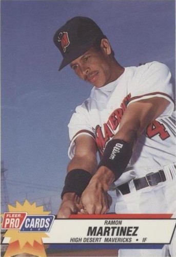 1993 Fleer ProCards Minor League - Ramon Martinez #49
