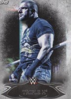 2015 Topps WWE Undisputed - Triple H #50
