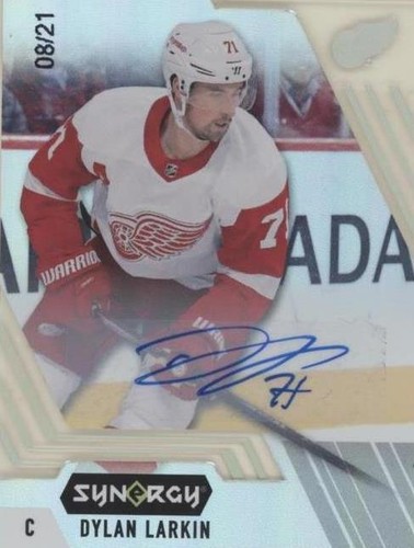 2020-21 Upper Deck Synergy - Dylan Larkin #10