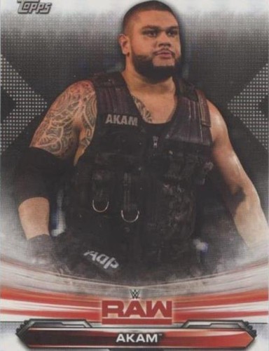 2019 Topps WWE Raw - Akam #1