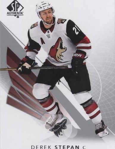 2017-18 SP Authentic - Derek Stepan #73