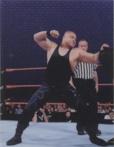 1999 Comic Images WWF SmackDown! Chromium - D'Lo Brown #14