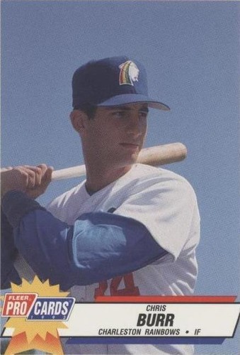 1993 Fleer ProCards Minor League - Chris Burr #1916
