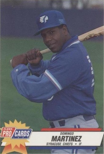 1993 Fleer ProCards Minor League - Domingo Martinez #1004