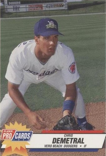 1993 Fleer ProCards Minor League - Chris Demetral #2225