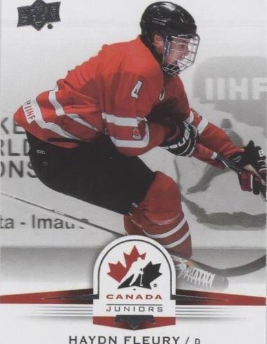 2014 Upper Deck Team Canada Juniors - Haydn Fleury #115