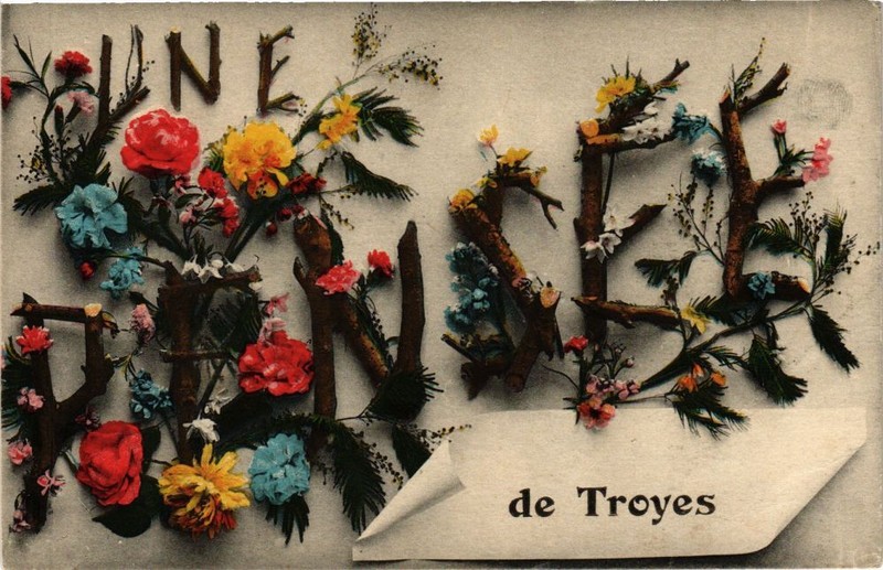 Cpa Troyes - Une PensÃ©E, Felurs (179518)