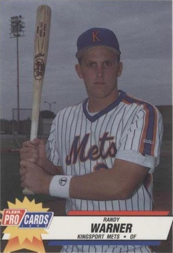 1993 Fleer ProCards Minor League - Randy Warner #3810