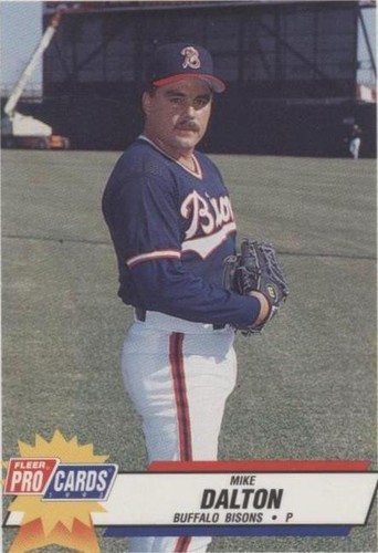 1993 Fleer ProCards Minor League - Mike Dalton #510