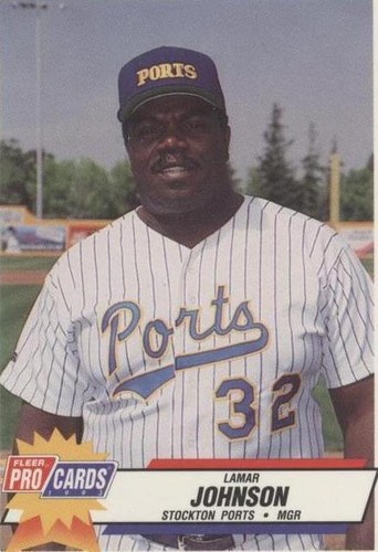 1993 Fleer ProCards Minor League - Lamar Johnson #760