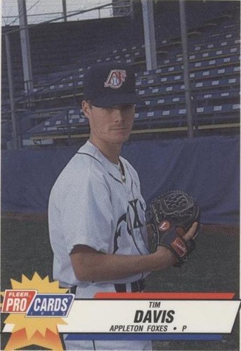 1993 Fleer ProCards Minor League - Tim Davis #2453