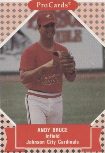 1991 ProCards Tomorrow's Heroes - Andy Bruce #325