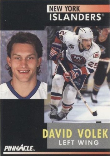 1991-92 Pinnacle - David Volek #198