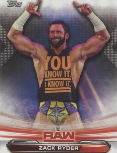 2019 Topps WWE Raw - Zack Ryder #74