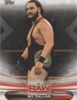 2019 Topps WWE Raw - Bo Dallas #8