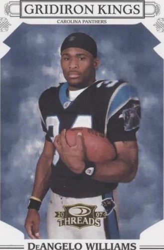 2007 Donruss Threads DeAngelo Williams #PGK-11
