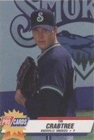 1993 Fleer ProCards Minor League - Tim Crabtree #1243