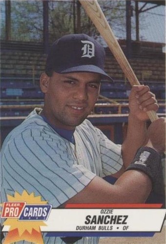 1993 Fleer ProCards Minor League - Osvaldo Sanchez #499