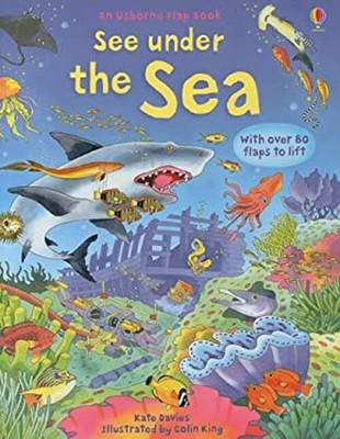 See under the Sea Board Books Kate Davies