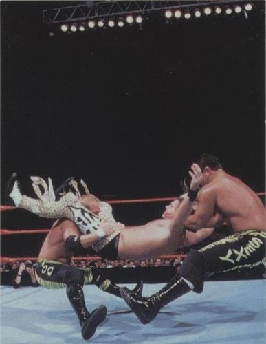 1999 Comic Images WWF SmackDown! - Brian Christopher Scotty Too Hotty #29